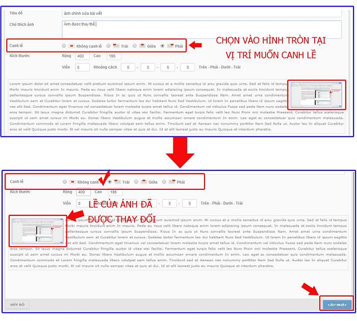 Hổ trợ quản trị thiết kế website vnvn cms 3.0 chỉnh sửa nội dung bài viết